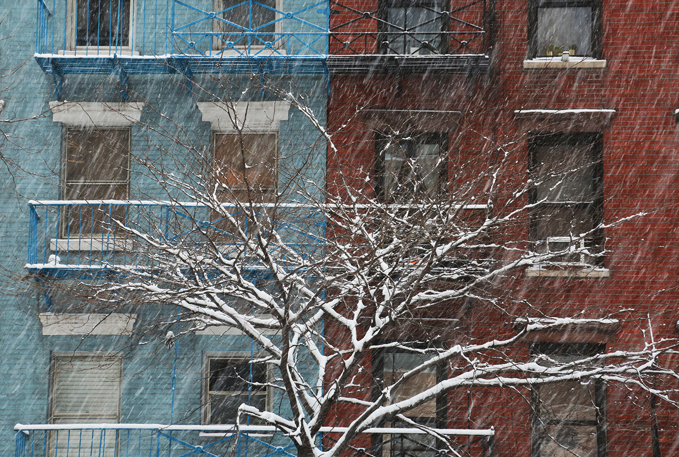 Snowstorm : 2021 : New York : Personal Photo Projects :  Richard Moore Photography : Photographer : 